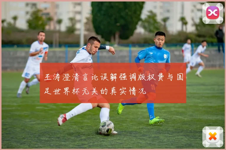 王涛澄清言论误解强调版权费与国足世界杯无关的真实情况